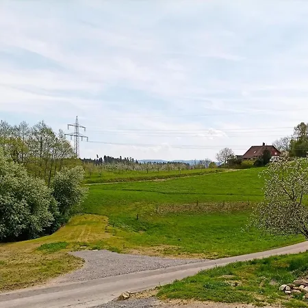 公寓 Bodensee Goppertsweiler Hase *