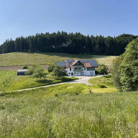Bodensee Neukirch Goppertsweiler Hase