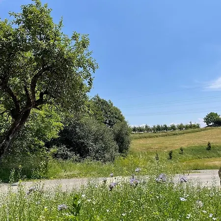 Bodensee Goppertsweiler Hase