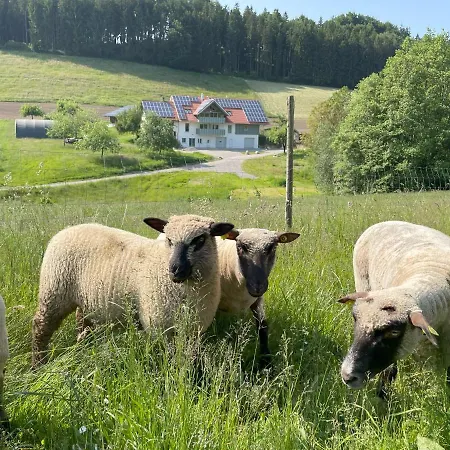 Apartment Bodensee Neukirch Goppertsweiler Hase *
