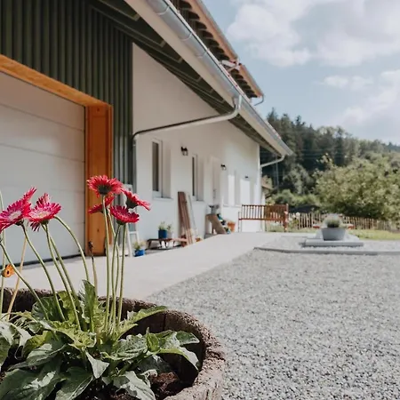 Bodensee Neukirch Goppertsweiler Hase * Neukirch (Tubingen)