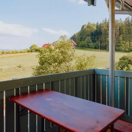 Bodensee Goppertsweiler Hase 诺伊基希