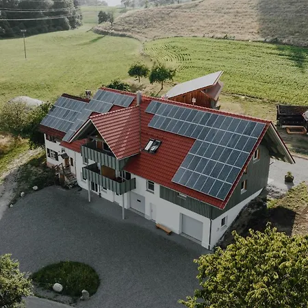 Bodensee Neukirch Goppertsweiler Hase