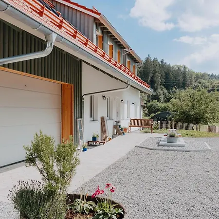 Bodensee Neukirch Goppertsweiler Hase *