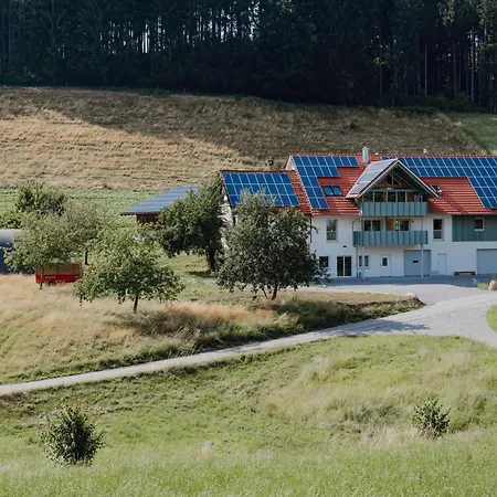 Apartment Bodensee Neukirch Goppertsweiler Hase Neukirch (Tubingen)