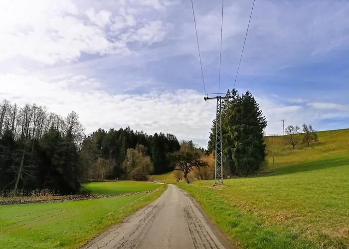 Bodensee Goppertsweiler Hase * Neukirch (Tubingen)