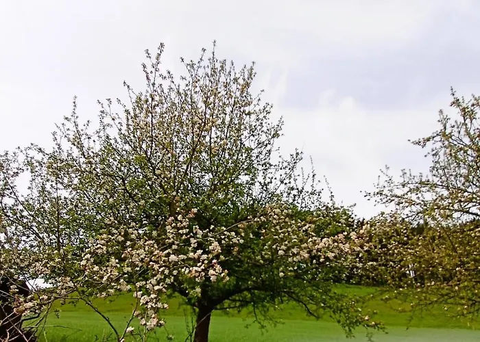 Bodensee Goppertsweiler Hase Appartamento *