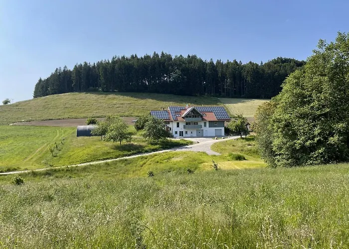 Bodensee Goppertsweiler Hase