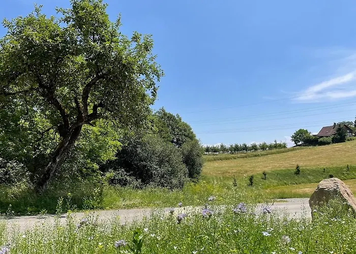 Bodensee Goppertsweiler Hase