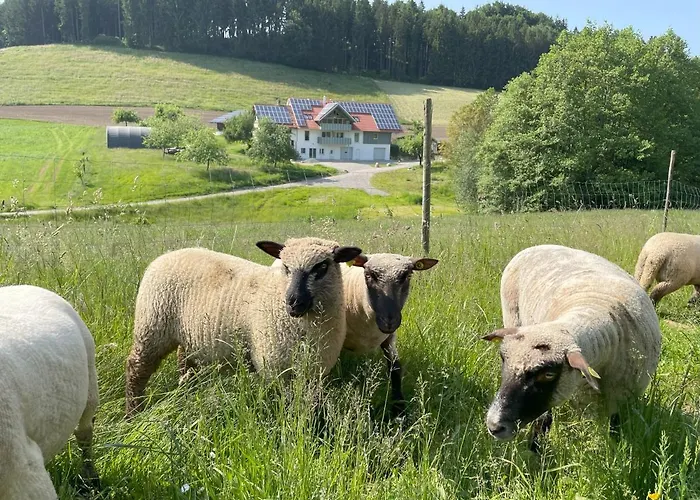 Appartamento Bodensee Goppertsweiler Hase *