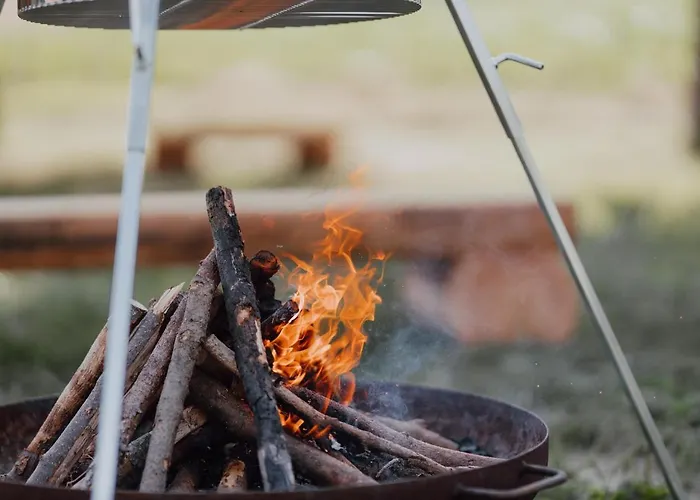 Bodensee Goppertsweiler Hase