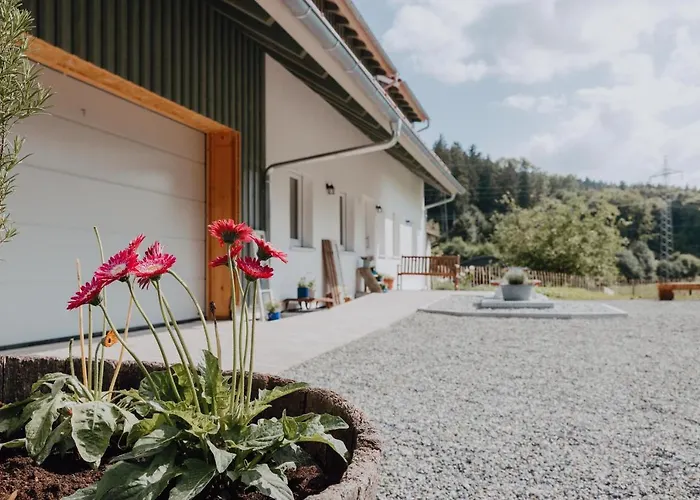 Bodensee Goppertsweiler Hase * Neukirch (Tubingen)