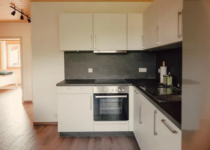 Bodensee Goppertsweiler Hase