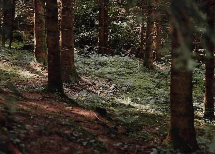 Bodensee Goppertsweiler Hase Appartamento *