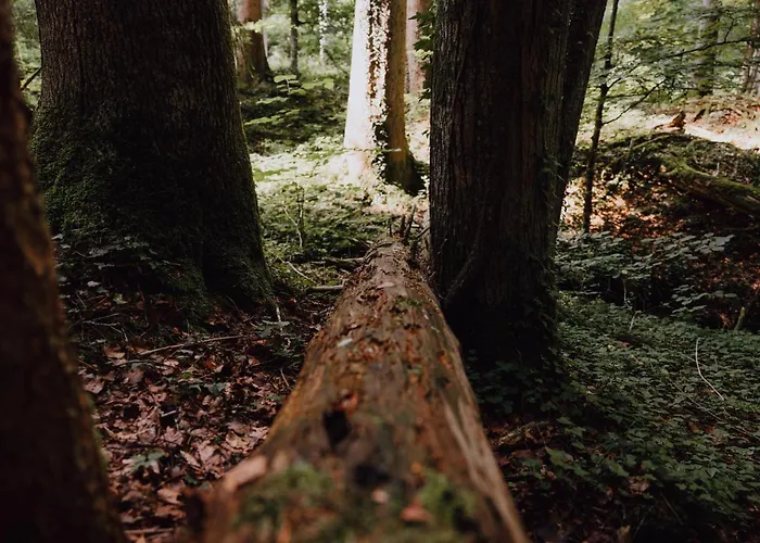 Appartamento Bodensee Goppertsweiler Hase Neukirch (Tubingen)