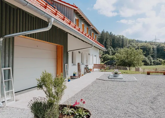 Bodensee Goppertsweiler Hase *